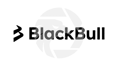 BlackBull logo